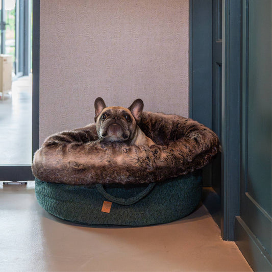 hond in zachte hondenmand