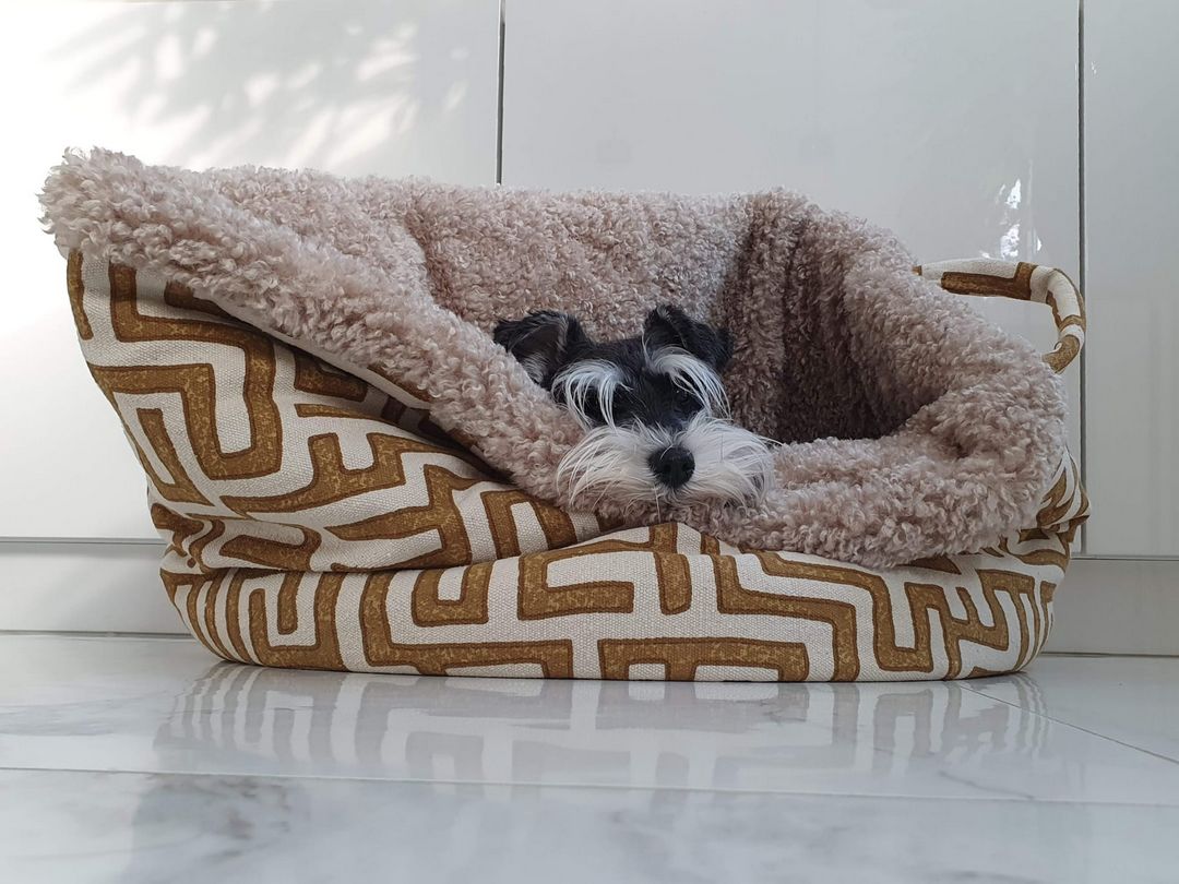 sfeerfoto met hond in African Desert mand in lichte kamer