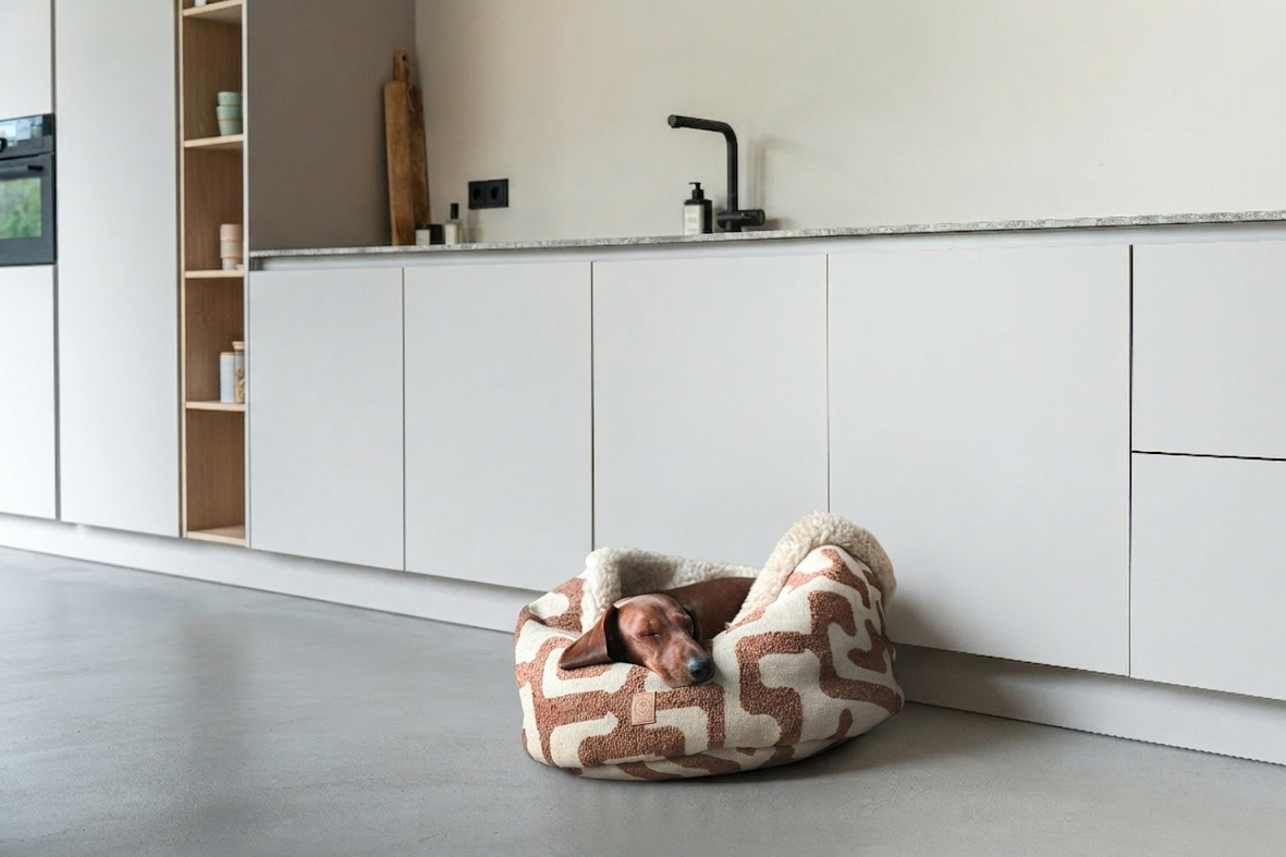 sleeping dog in dogbasket in the kitchen