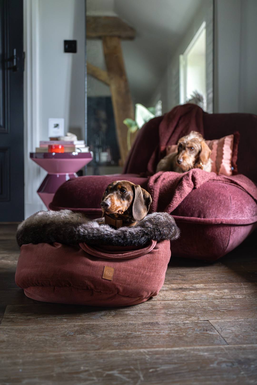 hond in Pooch Pouch Spicy mand met bordeaux stof en gevlekte faux fur naast bordeaux rode stoel HK Living