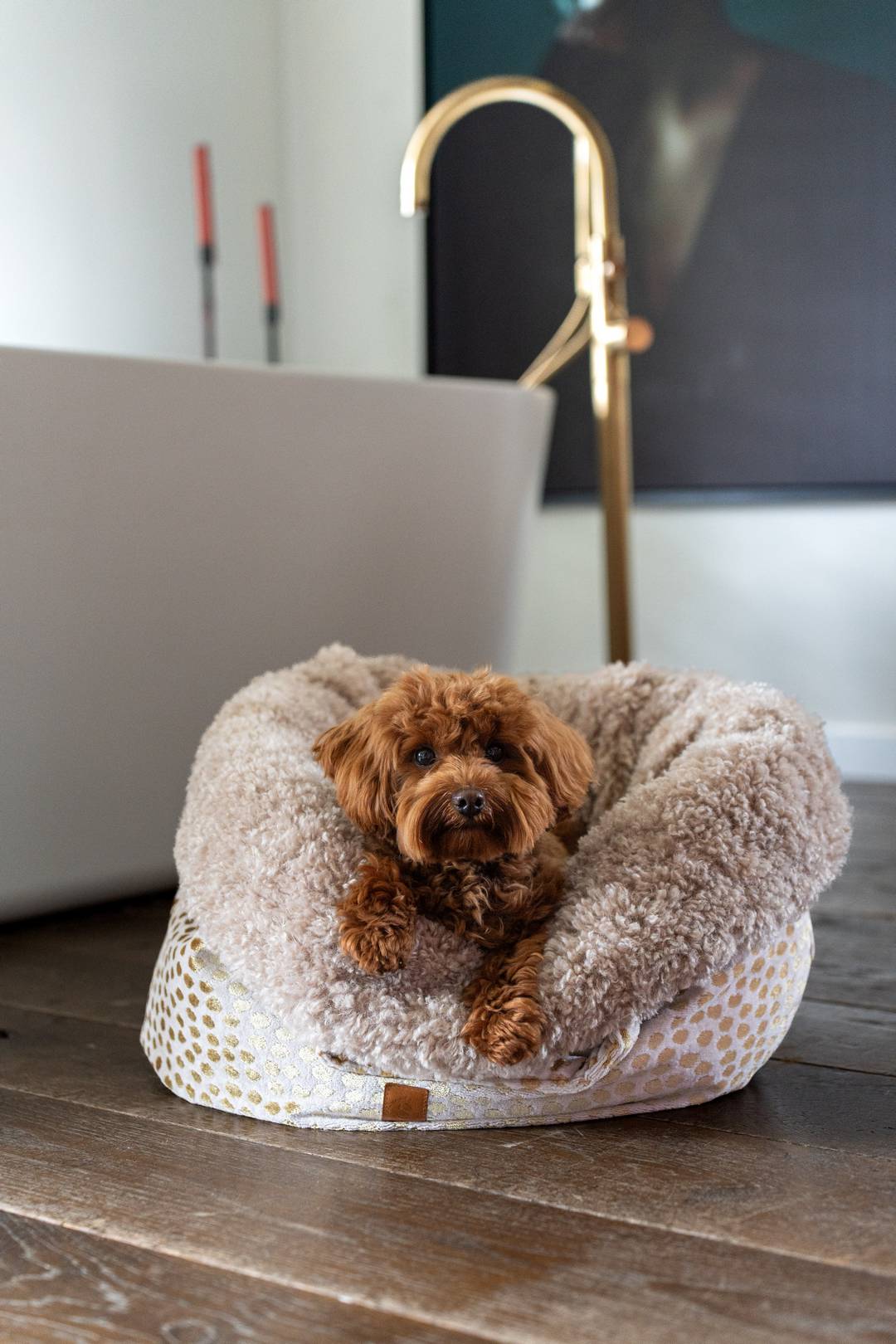 Sfeersetting van de Pineapple mand in een modern interieur