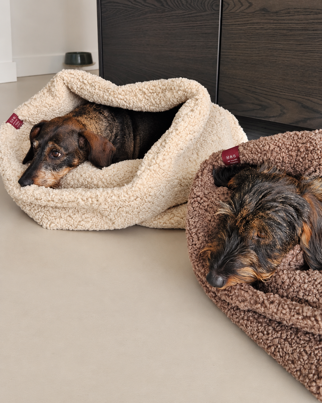 twee teckels in teddy slaapzakken