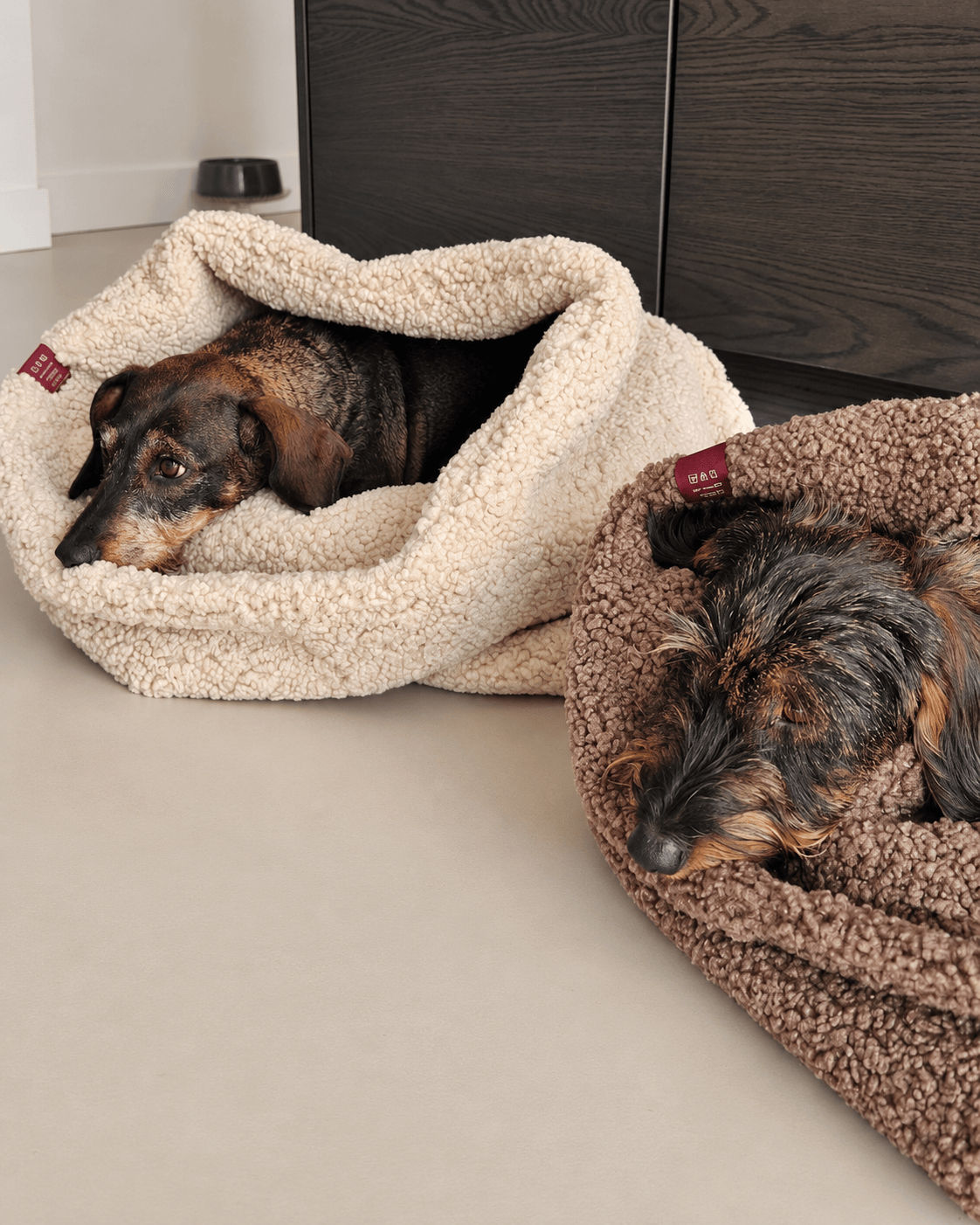 twee teckels in teddy slaapzakken
