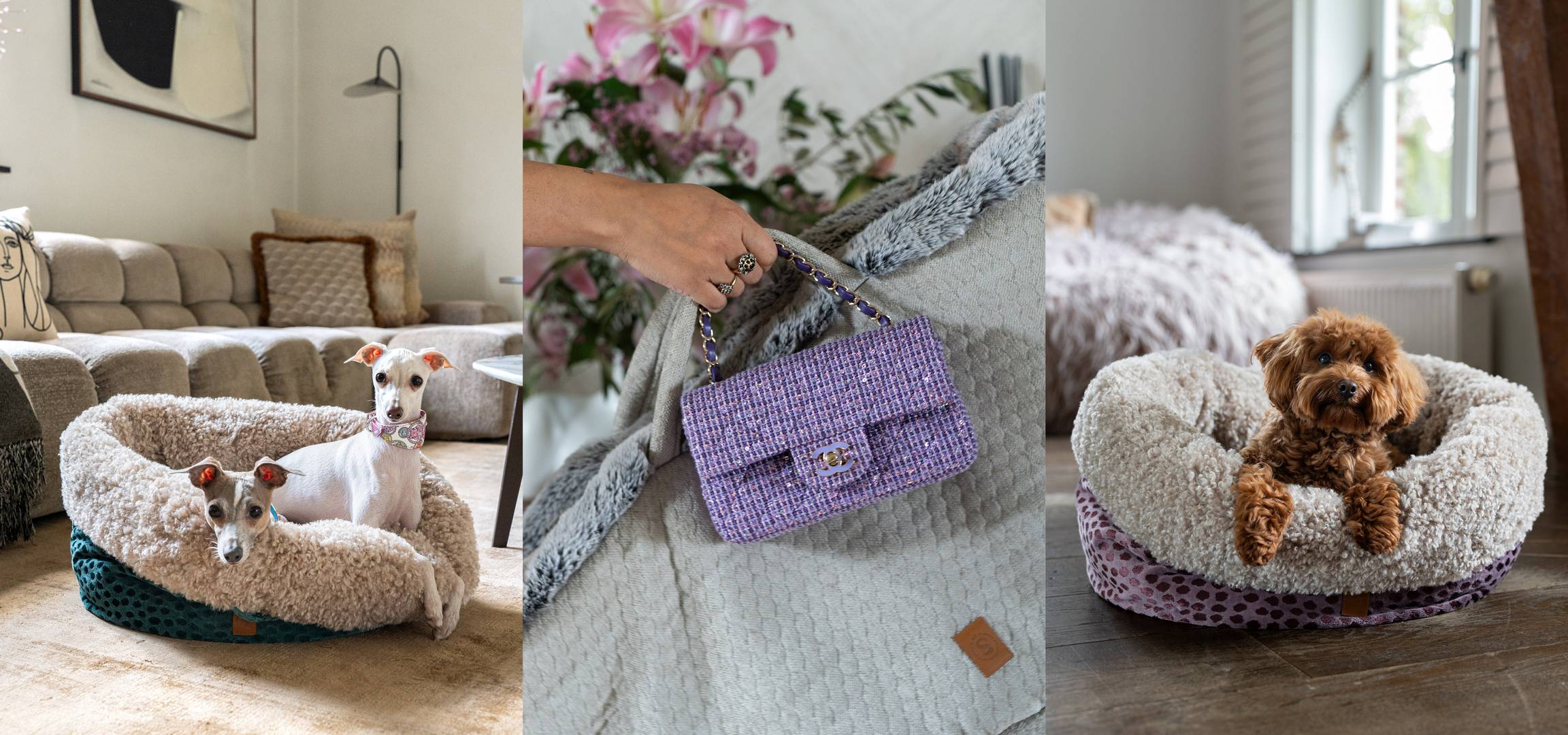 Hondenand met maltipoo en whippet en chanel tas