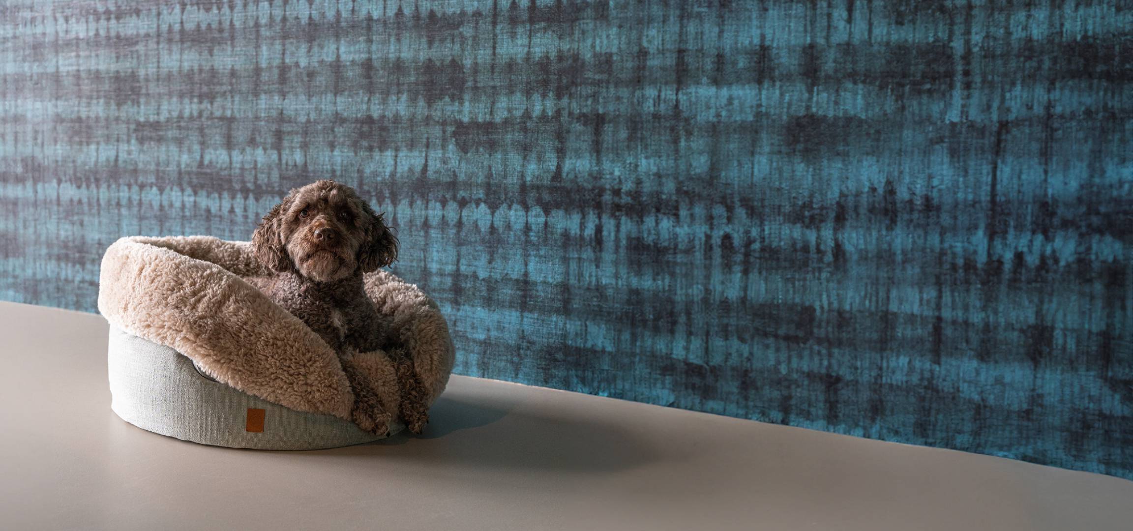 Luxe ronde hondenmand met waterhond voor een Arte behang muur op een gietvloer