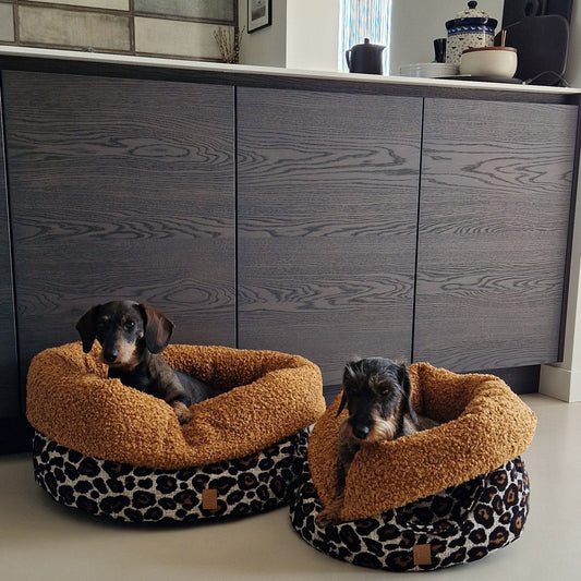 2 teckels in 2 manden