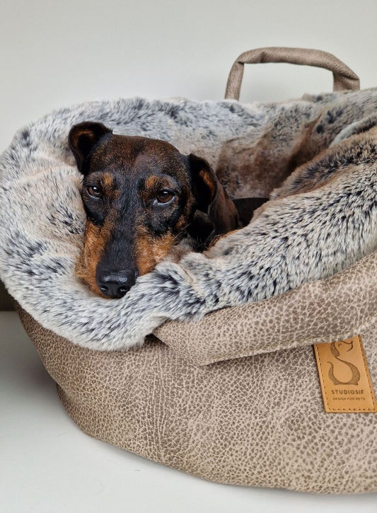 Welke maat hondenmand heb ik nodig voor mijn hond?