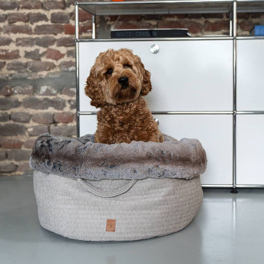 hond in ronde hondenmand