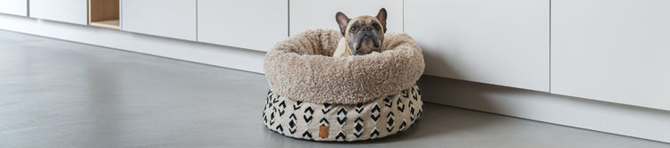Hond in een luxe hondenmand rond met bont in mooi interieur
