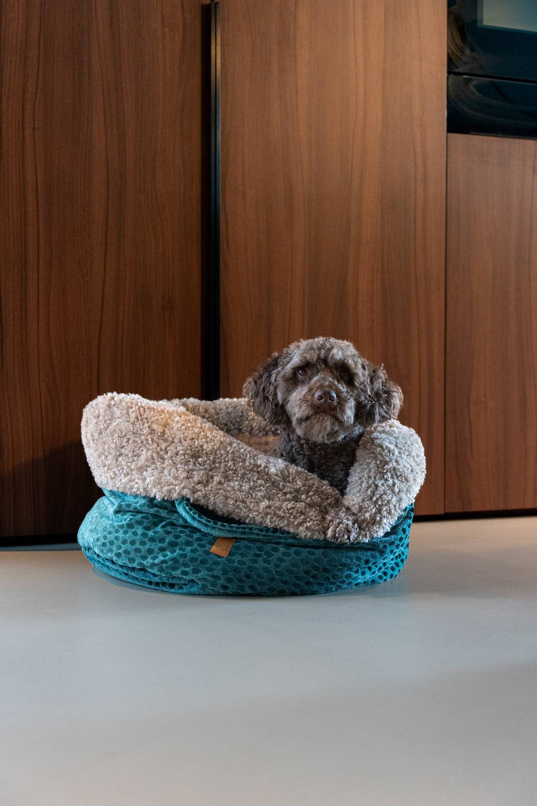 Licht gewicht exclusive ronde hondenmand met spaanse waterhond op witte gietvloer