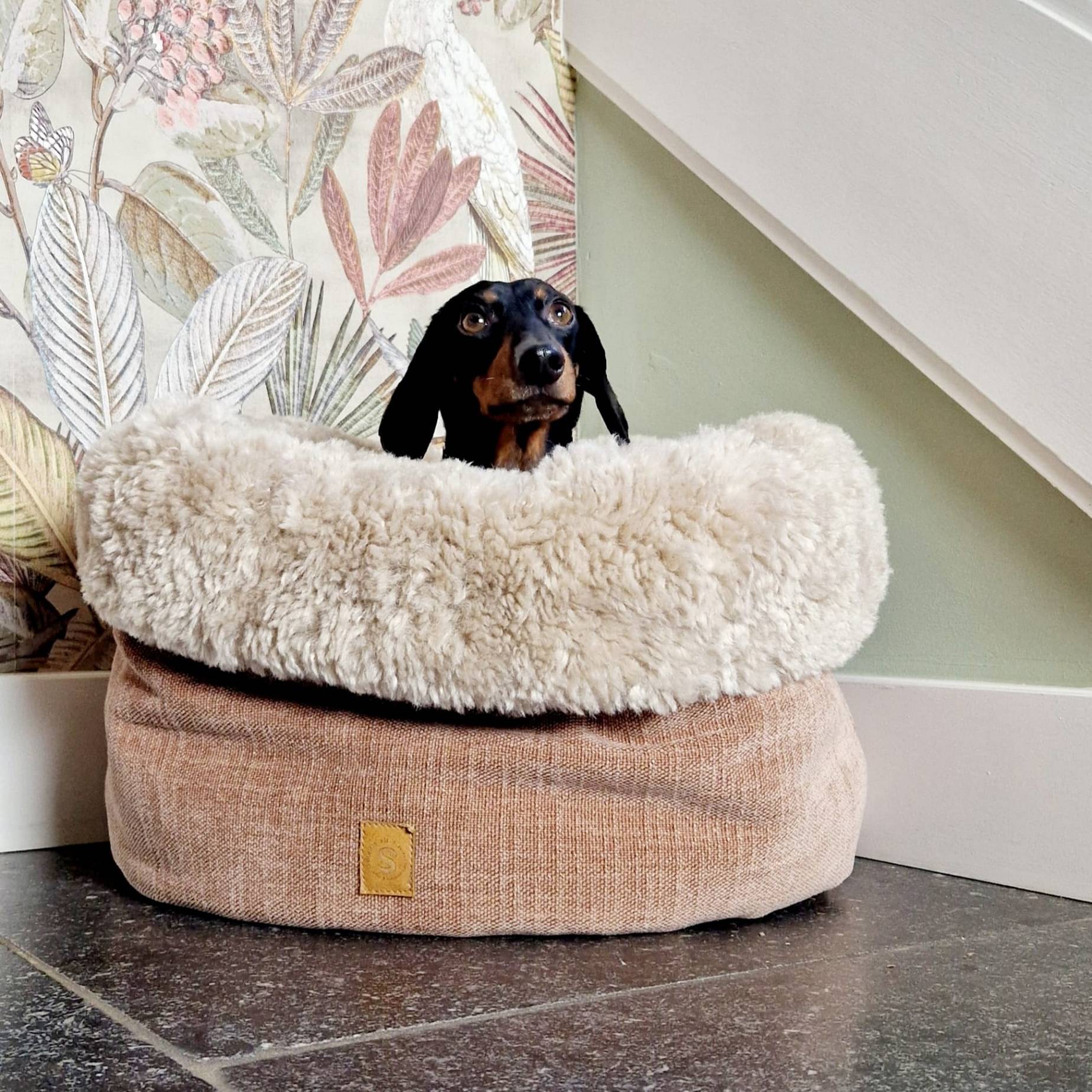 Teckel in oudroze Blush hondenmand met crème faux fur rand, geplaatst in een huiselijke setting met tapijt en groen behang