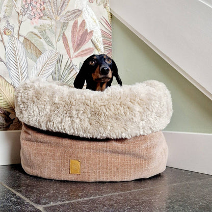 Teckel in oudroze Blush hondenmand met crème faux fur rand, geplaatst in een huiselijke setting met tapijt en groen behang