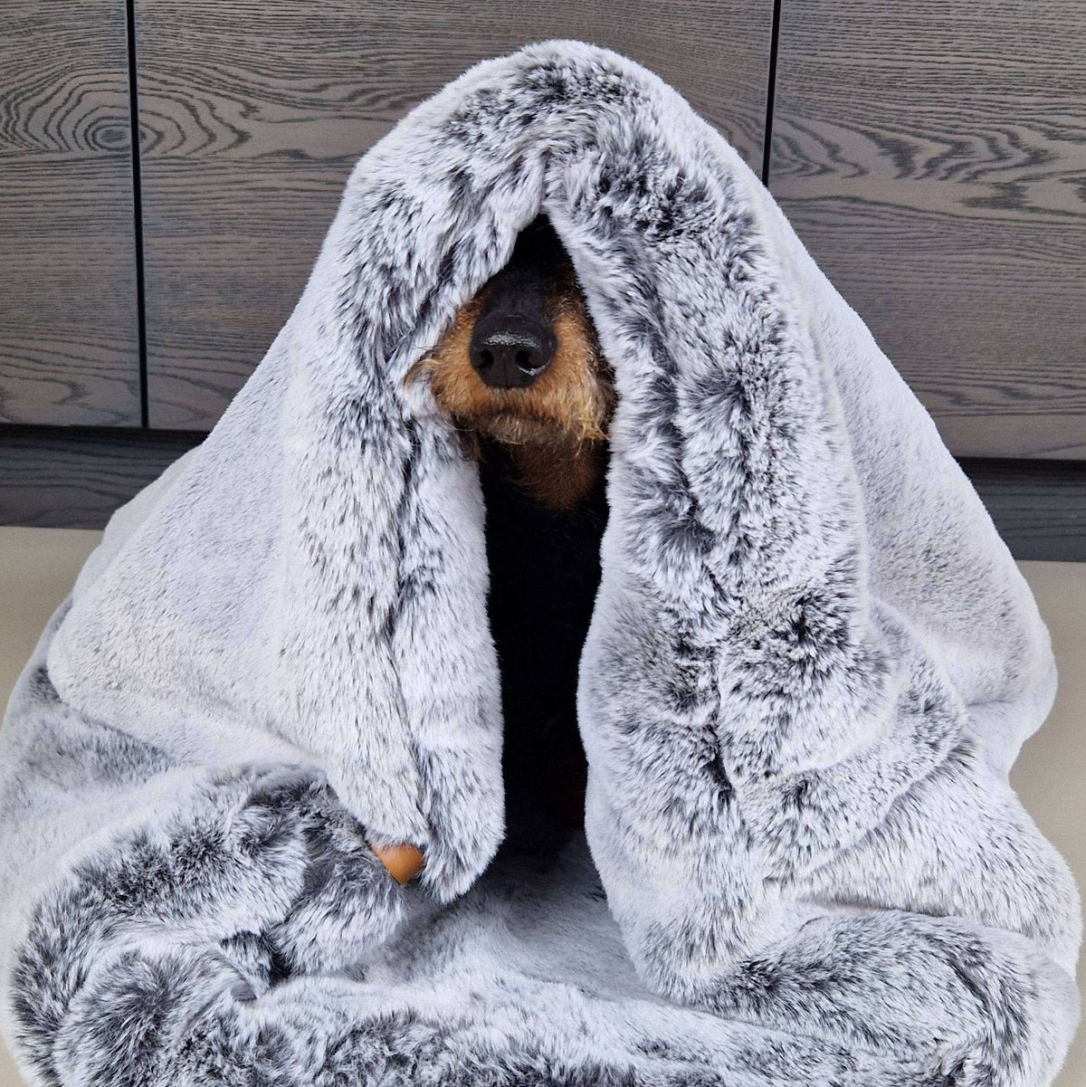 Hond onder een slaapzak