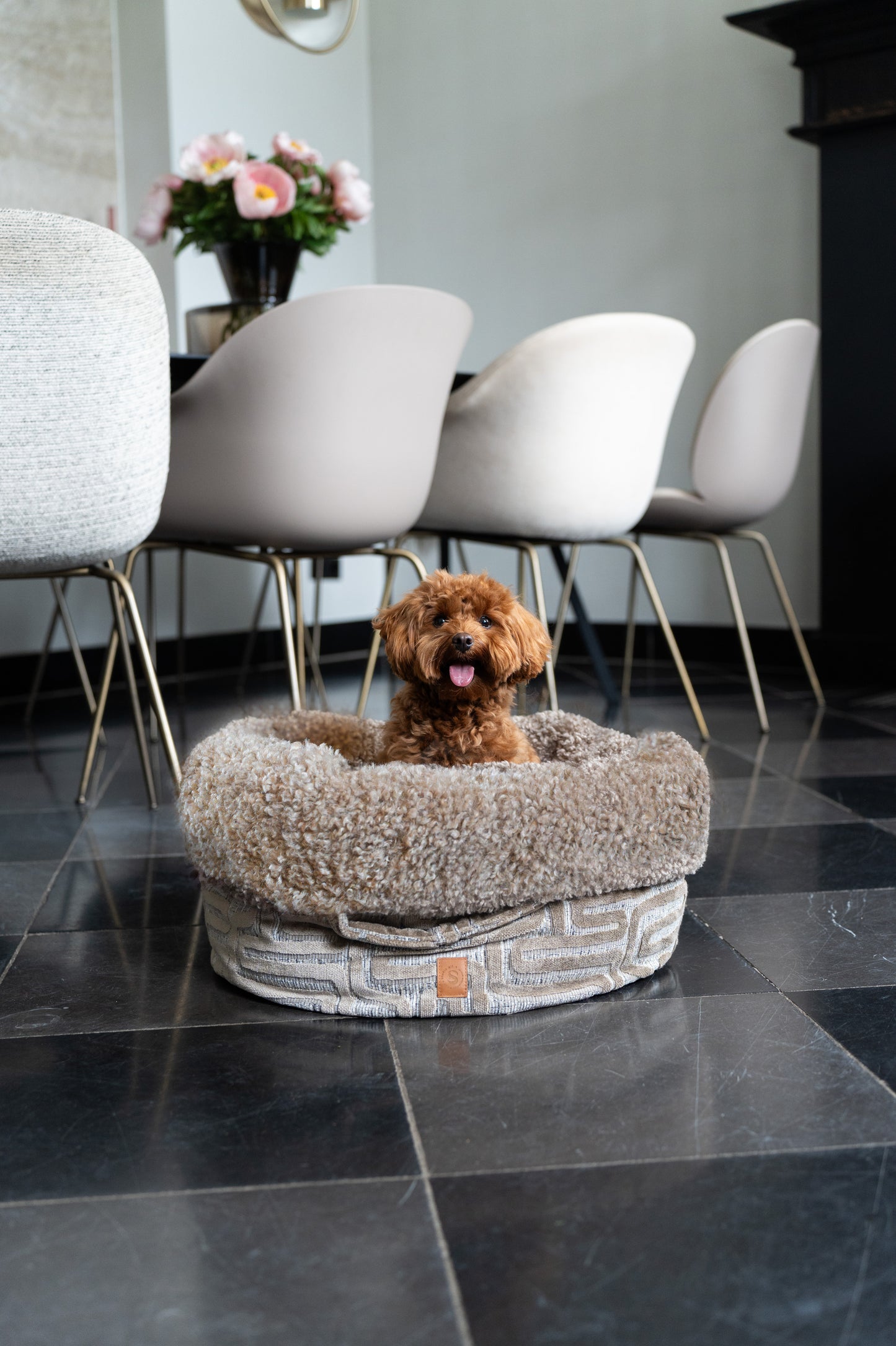 stijlvolle hondenmand Liberty in woonkamer met kleine hond