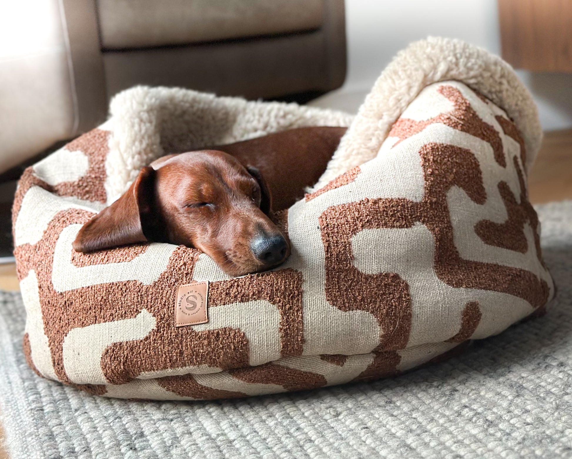 Sleeping dog in dogbasket