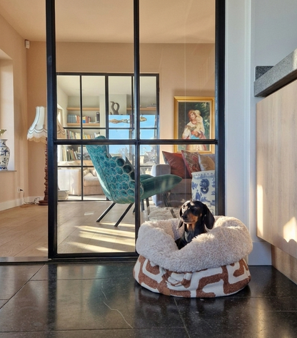dogbasket with dog in livingroom