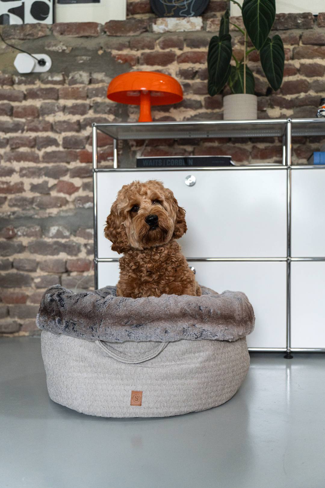 POOCH POUCH | mist