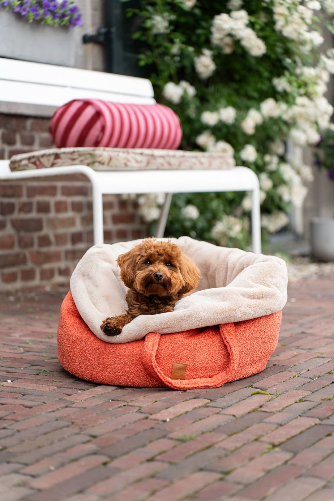 POOCH POUCH | summer ibiza