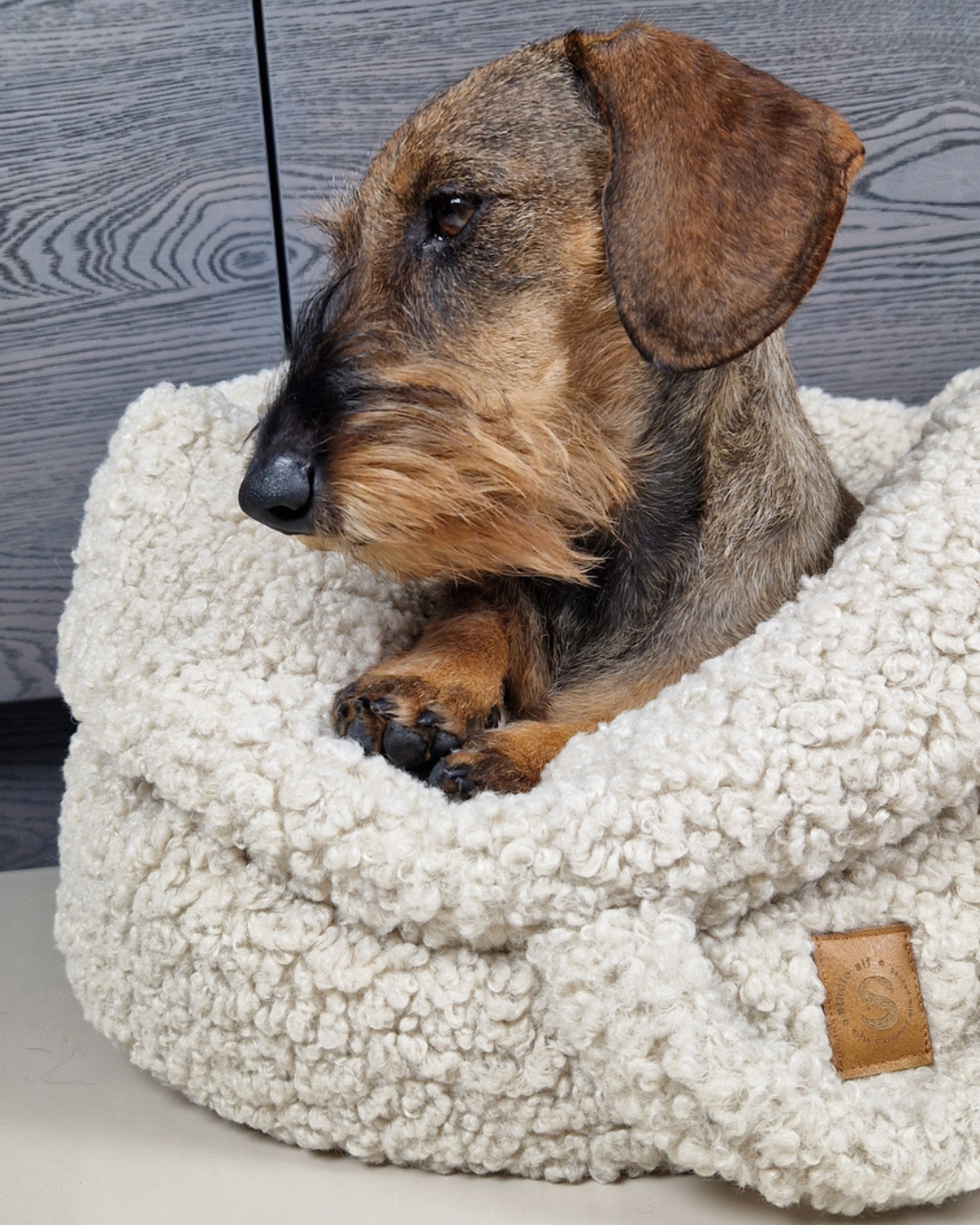 Hondenmand Teddy met teckel