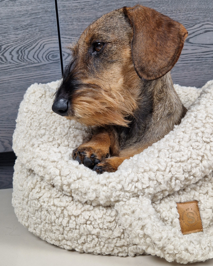 Hondenmand Teddy met teckel