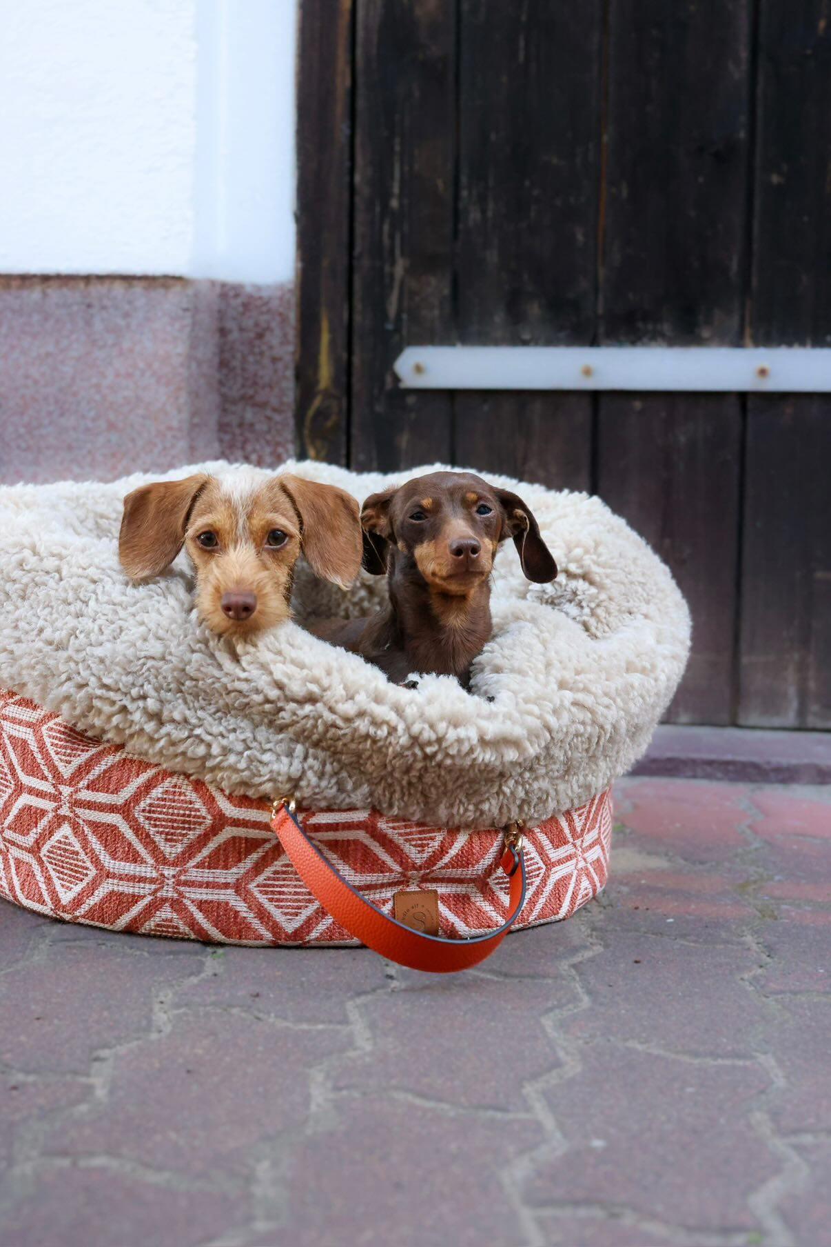 POOCH POUCH | Summer Ibiza