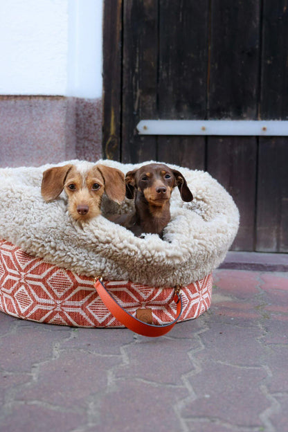 POOCH POUCH | Summer Ibiza