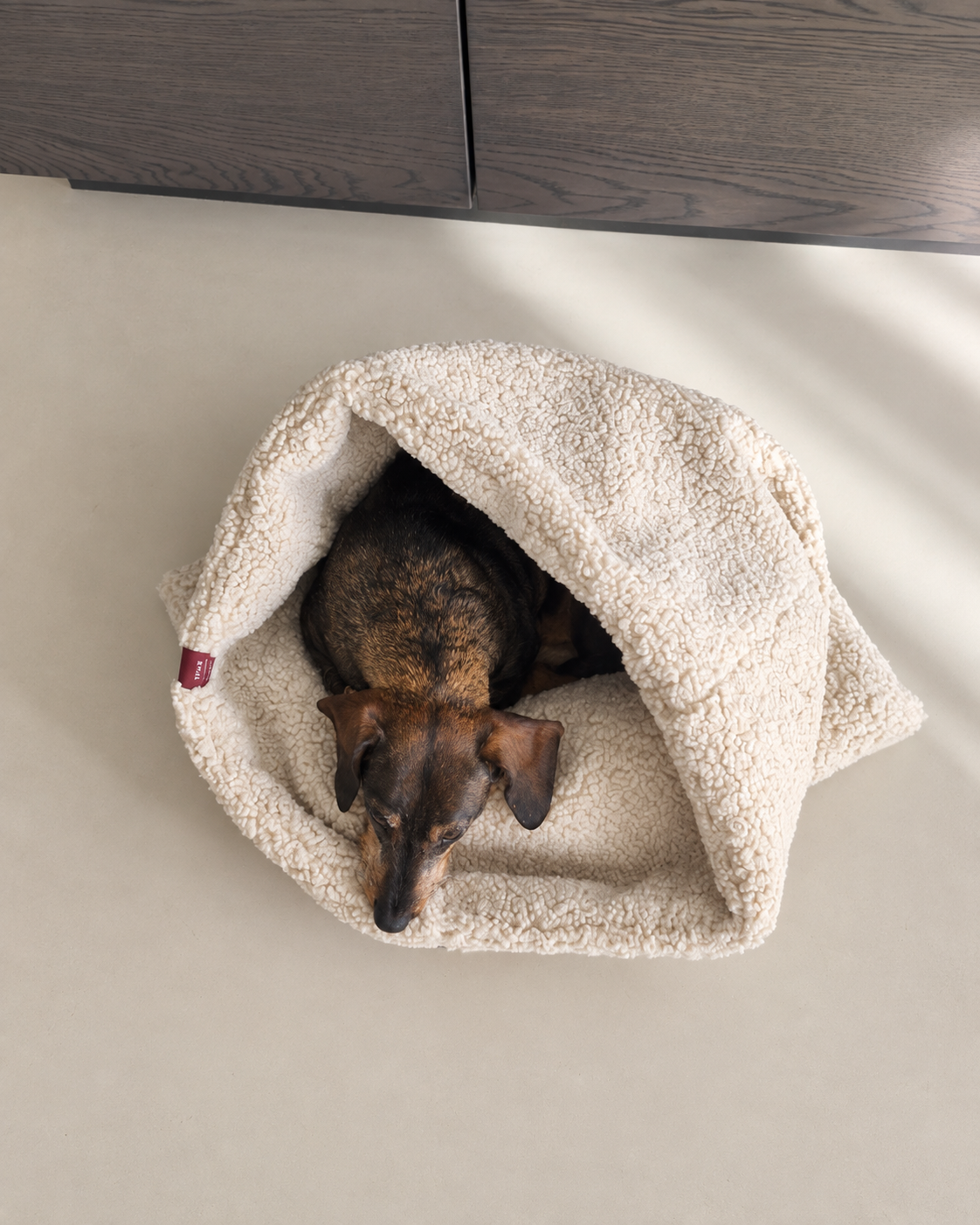 hondenslaapzak teddy met teckel