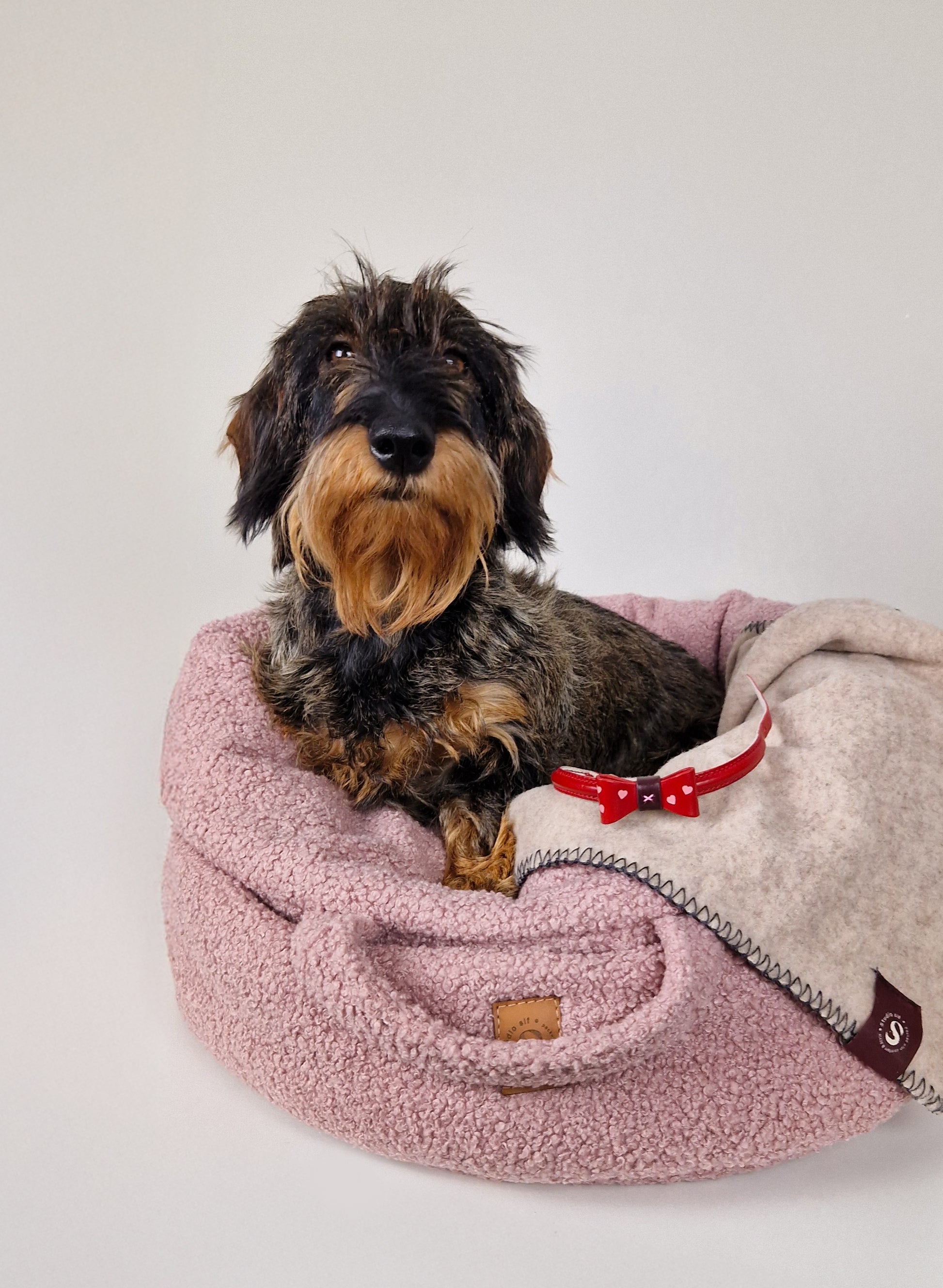 Teckel in een roze teddy mand