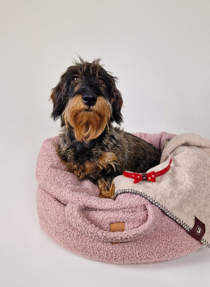 Teckel in een roze teddy mand