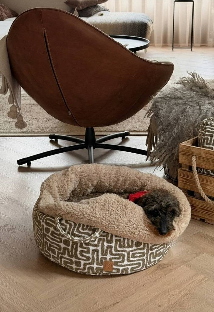 hond in mand in woonkamer